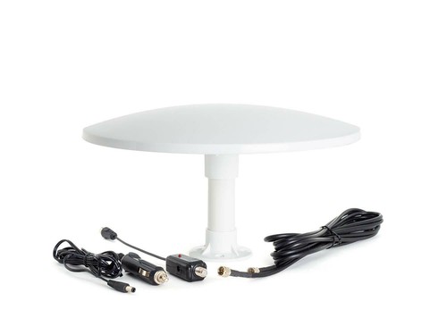 Kuma cosmos aerial outdoor - kuma,
