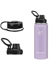Double wall insulated water bottle 