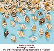 Mini Craft Shells Natural