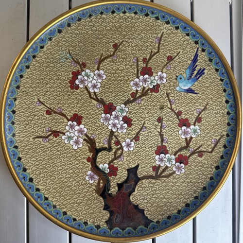 Chinese cloisonne plate - chinese,