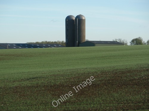 Photo 12x8 animal feed - animal,