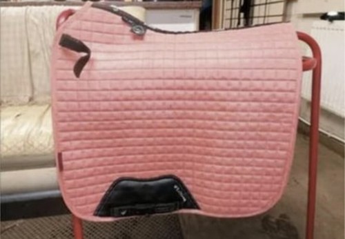 Mieux sorbet dressage - 🟠le,