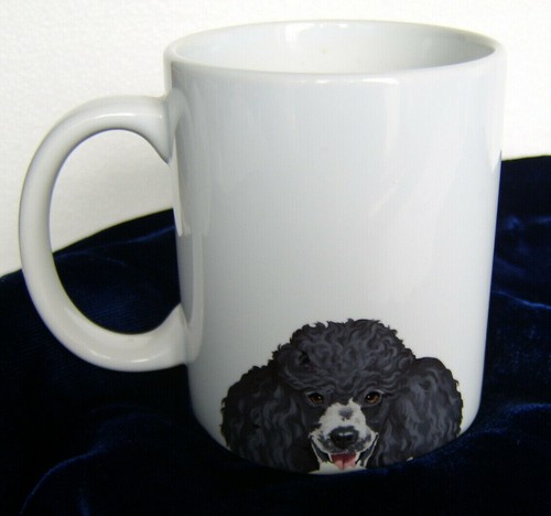 Black standard poodle - black, dog