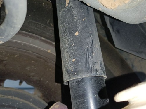 Rear left shock - rear,