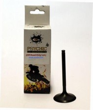 VALVE INTAKE YFM700R YAMAHA, AU-09151I, 5VK-12111-00-00