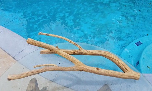 Large driftwood manzanita - large,