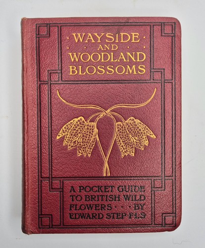 Wayside woodland blossoms - wayside,