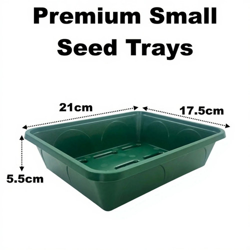 Small premium 21cm solid seed - 21cm,