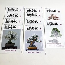 Set of 10 Bonsai Shunju