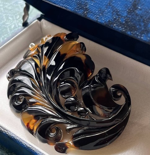 Japanese tortoiseshell - japanese,