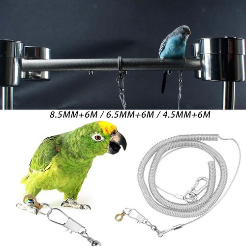 Bird harness parakeet parrot - bird,