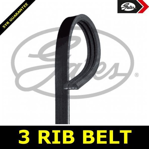 Power steering belt - ribbed, for