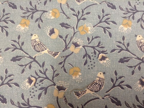 Nightingale songbird blue - nightingale,