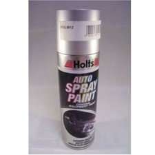Holts Professional Car Silver