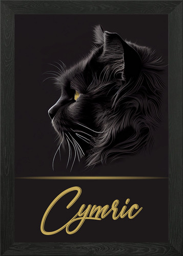 Adorable cymric framed wall - adorable,