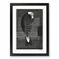 Galah Cockatoos By Samuel De