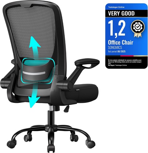 Ergonomic mesh office chair - ergonomic,