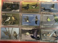 None rspb badges pin - none,