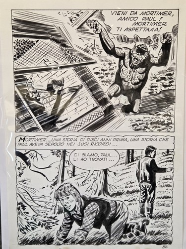 Original comic art - original, 🎨✨️