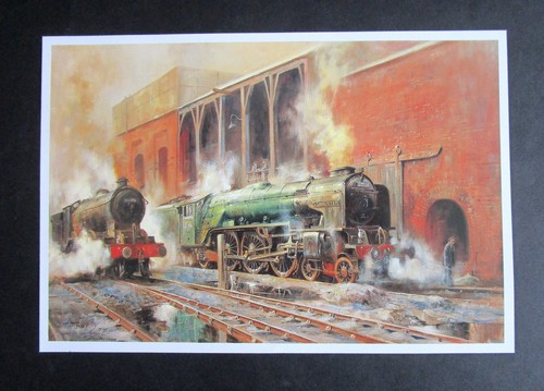 Alan fearnley x 6 55 - alan,