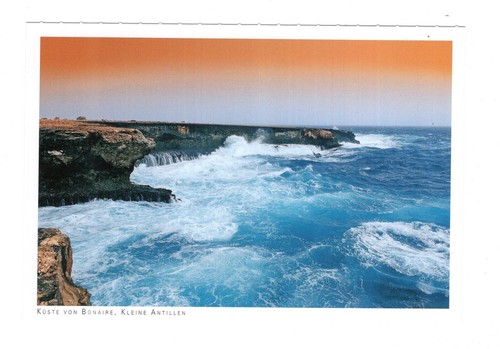 Postcard coast bonaire - coast,