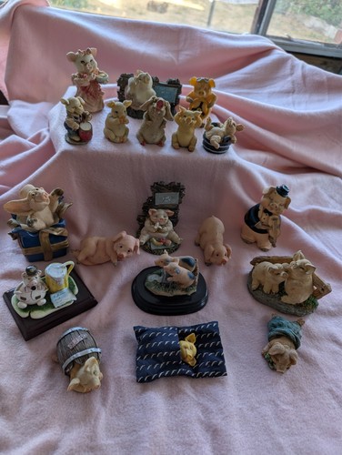Pig collection various - collection-,