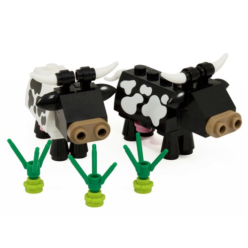 Cows farm animals - cows, &