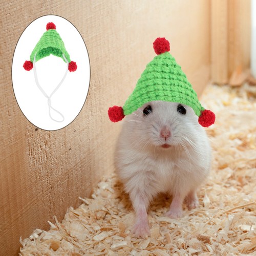 Mini knitted pet hat - hat, for