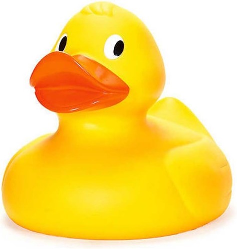 Tobar giant duck - giant,