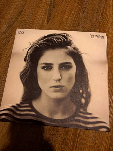 Birdy fire within - fire,