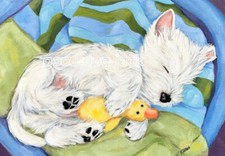 West Highland Terrier WESTIE