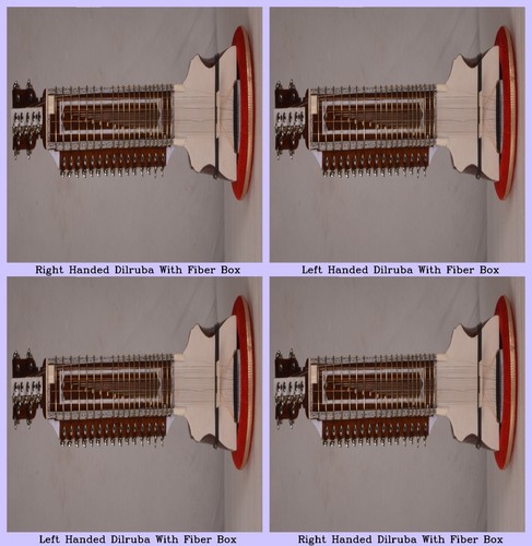 Classical string instrument - string,