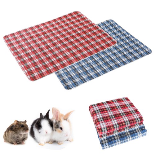 Guinea pig cage - pig,