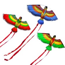 with Line Parrot Kite Long