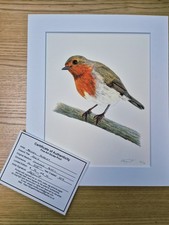Robin Limited Edition Fine Art