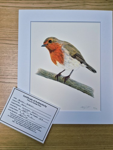 Robin limited edition fine - limited, art