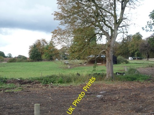 Photo 6x4 farmland near - 6x4,