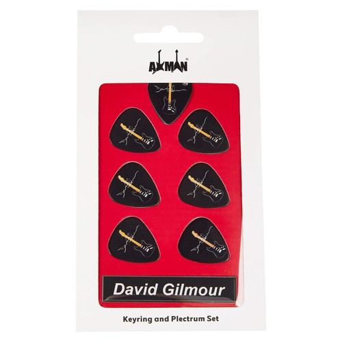 David gilmour guitar - gilmour, plectrum