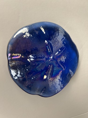 Blue iridescent sand dollar - sand,