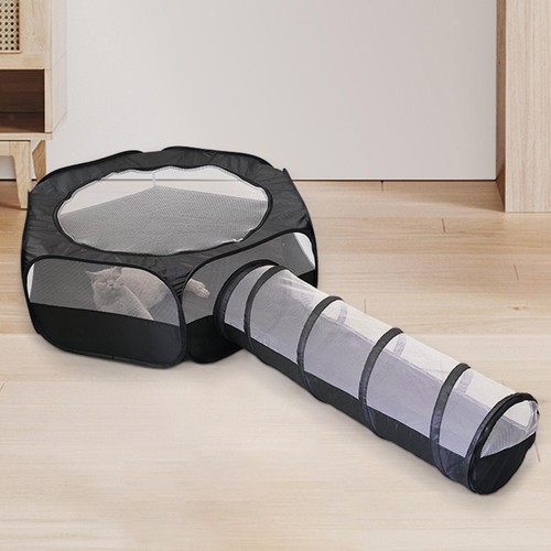 Cat tunnel outside - cat,