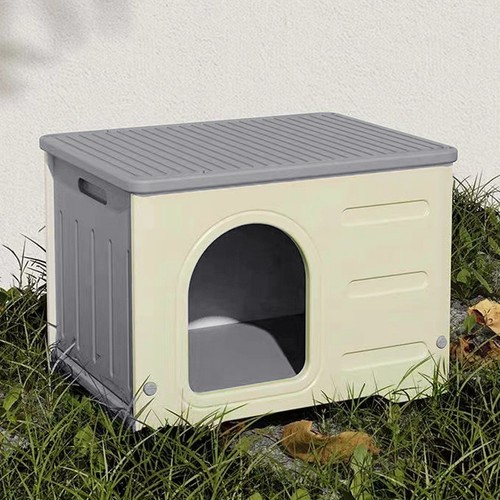 Pet cat kitten - kitten, beds