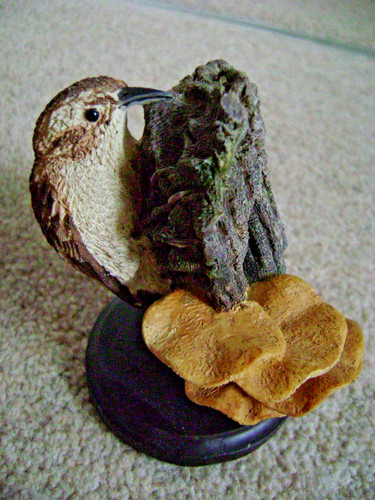 French the country - country, bird