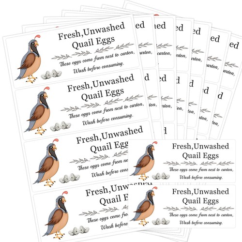 Unwashed quail egg carton - unwashed,