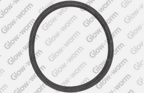 Glow worm british - worm,