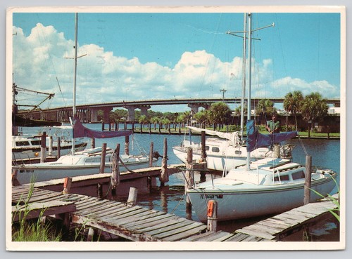 Florida sailboats docked - sailboats,
