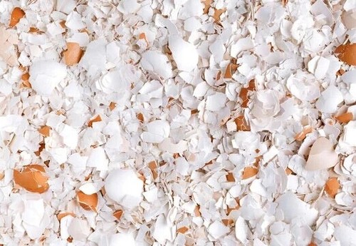 Organic crushed new - crushed, egg