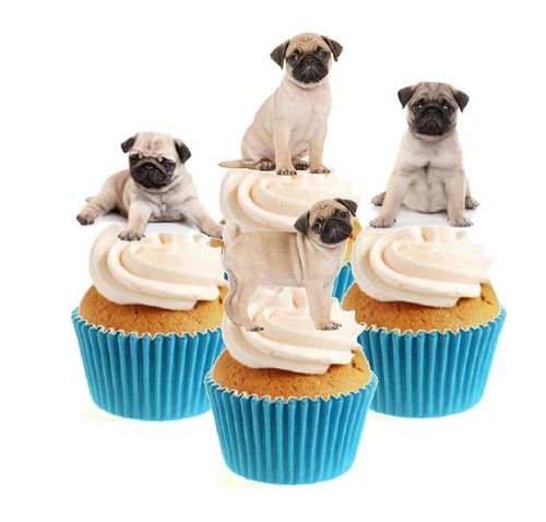 Novelty cute pug - puppy, mix