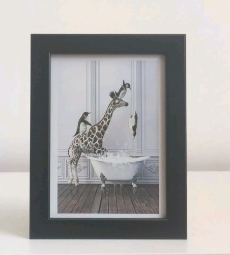Funny giraffe penguins - funny,