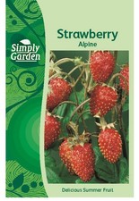 Vegetable Seeds Herb Fruit
