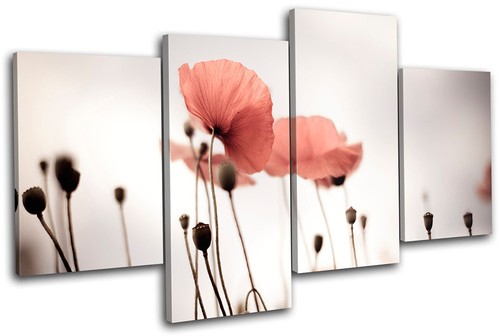 Poppy field flowers floral - poppy,